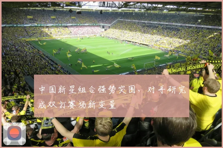 中国新星组合强势突围，对手研究成双打赛场新变量